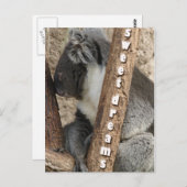 Nickerchenzeit Postkarte (Vorne/Hinten)