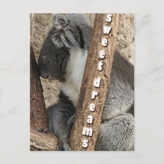 Nickerchenzeit Postkarte (Vorderseite)