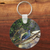 Nicobar Pigeon Schlüsselanhänger (Vorderseite)