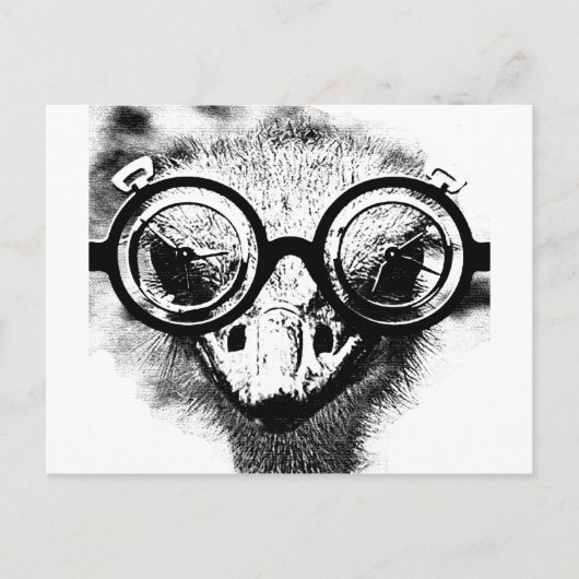 Nicolaus aus dem Strauß in Schwarz-Weiß-Grafik Postkarte (Vorderseite)