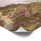 Nicole Dollanganger Poster (Ecke)