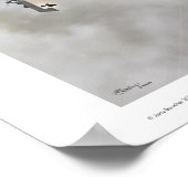 Nie.17 Poster (Ecke)