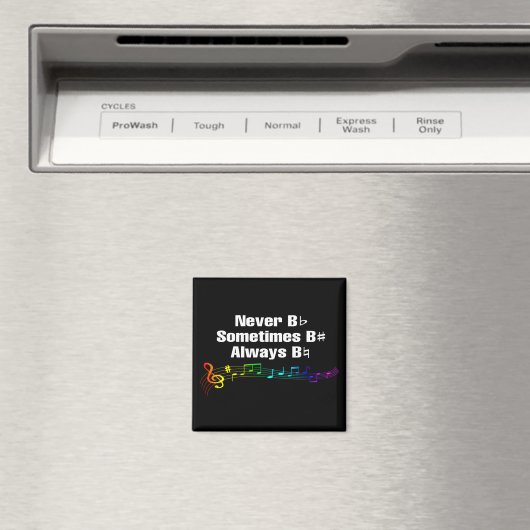 Nie flach, manchmal B scharfe Magnet (In Situ (Geschirrspüler))