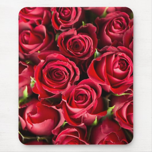 Nie genug Rote Rose Blume Mousepad (Vorne)