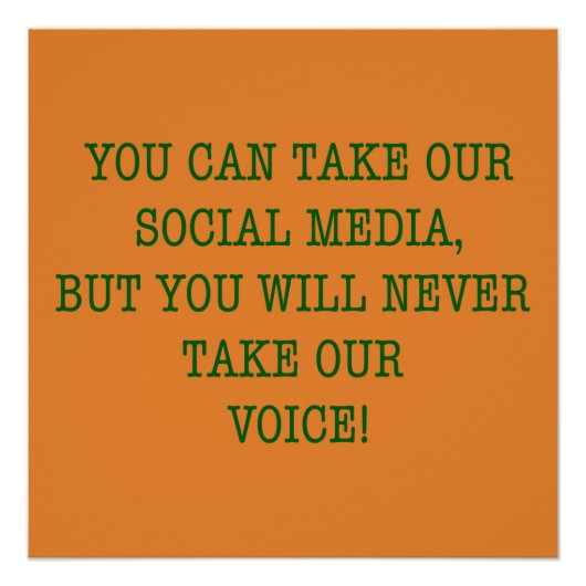 Nie nehmen Sie unsere Stimme! Poster (Vorderseite)