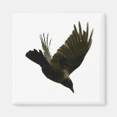 nie verstärkter Magnet (Vorne)