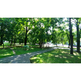 Nie! Vielleicht. Poster