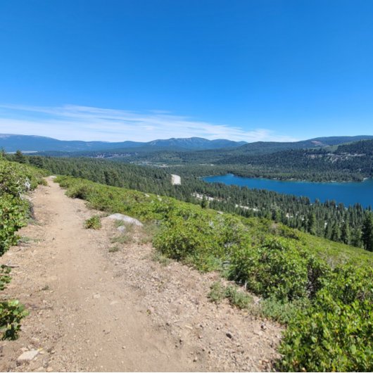 Nie! Vielleicht. Poster