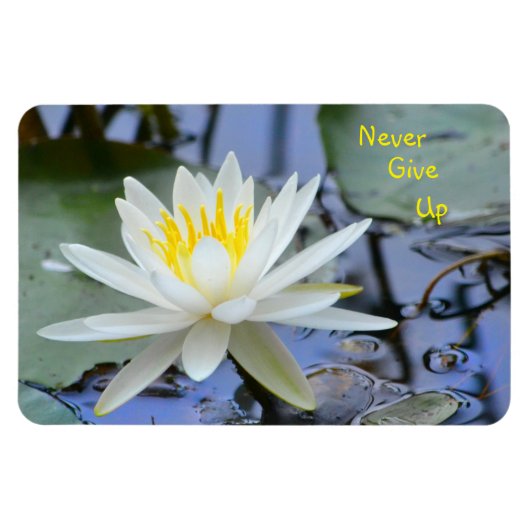 Nie Wasserlilie aufgeben Magnet (Horizontal)