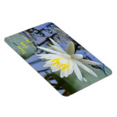 Nie Wasserlilie aufgeben Magnet (Rechte Seite)