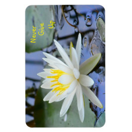 Nie Wasserlilie aufgeben Magnet