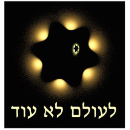 Nie wieder Fraktal Star von David Fotoskulptur Magnet