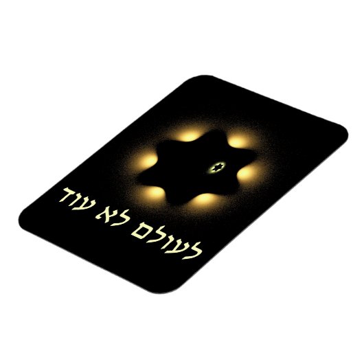 Nie wieder Fraktal Star von David Magnet (Linke Seite)