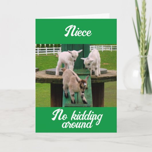 **NIECE** WAS SIE ZUM GLÜCKLICHEN GEBURTSTAG MACHT KARTE (Vorderseite)