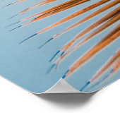 Nieder-Winkel-Foto der Kokospalme Poster (Ecke)