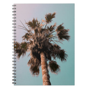 Nieder-Winkel-Fotografie der Palm-Pflanze Notizblock