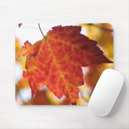 Niedergang Mousepad (Mit Mouse)