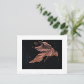 "Niedergeworfenes Platane-Blatt " Postkarte (Stehend Vorderseite)