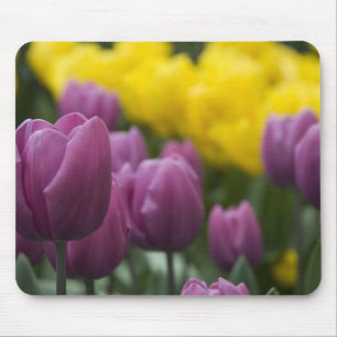 Niederlande alias Holland), Lisse. Keukenhof 10 Mousepad