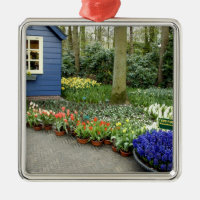 Niederlande alias Holland), Lisse. Keukenhof 11
