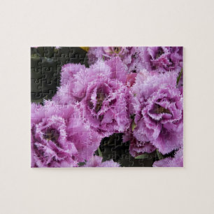 Niederlande (alias Holland), Lisse. Keukenhof 2 Puzzle