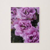 Niederlande (alias Holland), Lisse. Keukenhof 2 Puzzle (Vertikal)