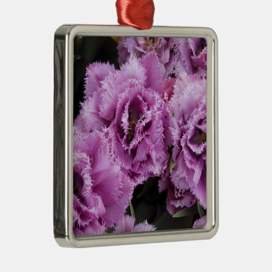 Niederlande (alias Holland), Lisse. Keukenhof 2 Silbernes Ornament (Rechts)