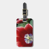 Niederlande (alias Holland), Lisse. Keukenhof 3 Gepäckanhänger (Vorderseite vertikal)