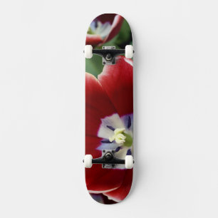 Niederlande (alias Holland), Lisse. Keukenhof 3 Skateboard