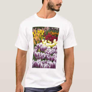 Niederlande alias Holland), Lisse. Keukenhof 3 T-Shirt
