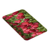 Niederlande (alias Holland), Lisse. Keukenhof 4 Magnet (Rechte Seite)