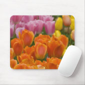 Niederlande alias Holland), Lisse. Keukenhof 4 Mousepad (Mit Mouse)