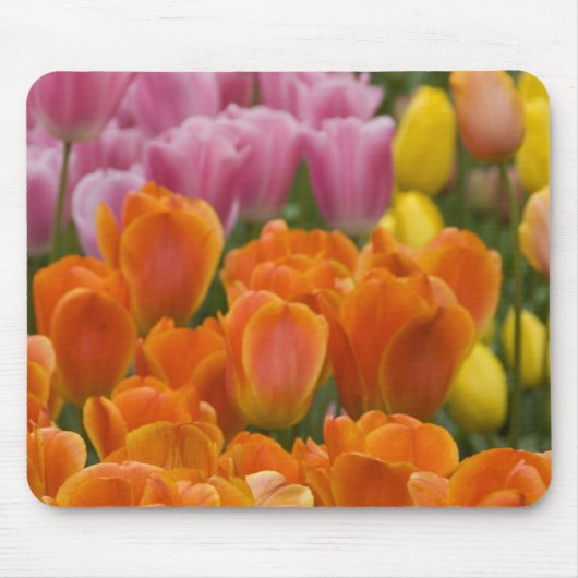 Niederlande alias Holland), Lisse. Keukenhof 4 Mousepad (Vorne)