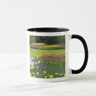 Niederlande alias Holland), Lisse. Keukenhof 5 Tasse