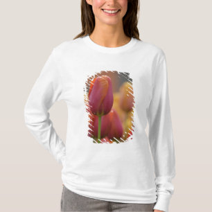 Niederlande alias Holland), Lisse. Keukenhof 6 T-Shirt