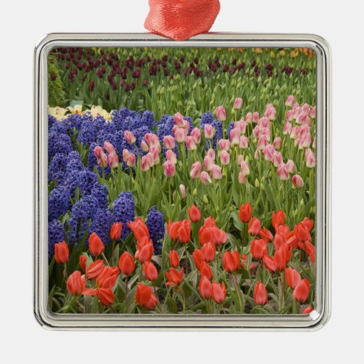 Niederlande alias Holland), Lisse. Keukenhof 9 Ornament Aus Metall (Vorne)