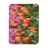 Niederlande (alias Holland), Lisse. Keukenhof Magnet (Vertikal)