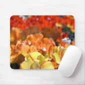 Niederlande alias Holland), Lisse. Keukenhof Mousepad (Mit Mouse)