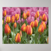 Niederlande (alias Holland), Lisse. Keukenhof Poster (Vorne)