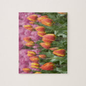 Niederlande (alias Holland), Lisse. Keukenhof Puzzle (Vertikal)