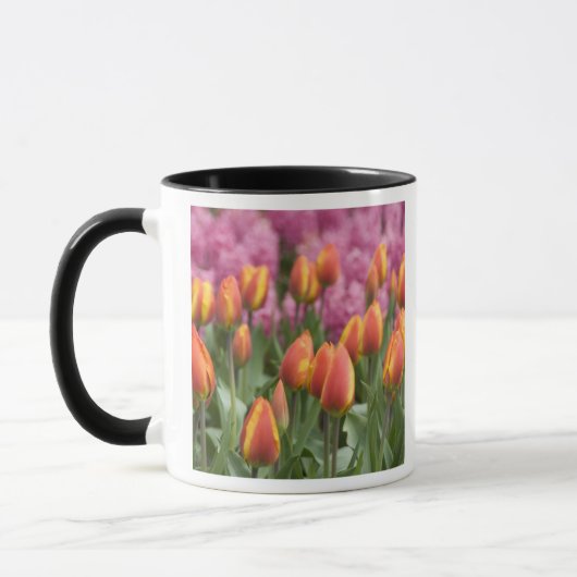 Niederlande (alias Holland), Lisse. Keukenhof Tasse (Links)