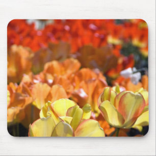 Niederlande (auch bekannt als Holland), Lisse. Keu Mousepad