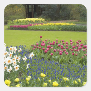 Niederlande, auch bekannt als Holland), Lisse. Keu Quadratischer Aufkleber