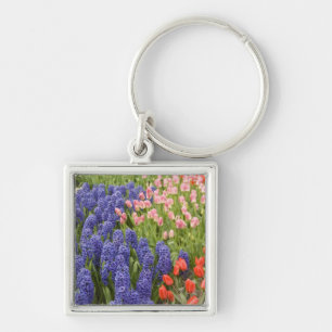 Niederlande, auch bekannt als Holland), Lisse. Keu Schlüsselanhänger