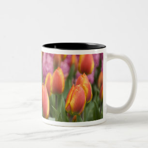 Niederlande (auch bekannt als Holland), Lisse. Keu Zweifarbige Tasse