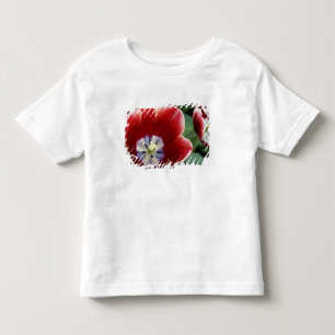 Niederlande (auch Holland genannt), Lisse. Keukenh Kleinkind T-shirt