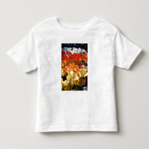 Niederlande (auch Holland genannt), Lisse. Keukenh Kleinkind T-shirt