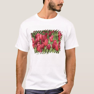 Niederlande (auch Holland genannt), Lisse. Keukenh T-Shirt