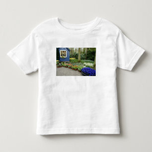 Niederlande (auch Holland), Lisse. Keukenhof 11 Kleinkind T-shirt