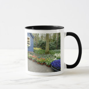 Niederlande (auch Holland), Lisse. Keukenhof 11 Tasse